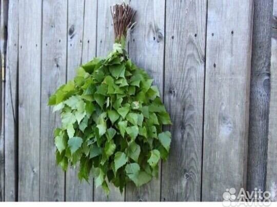 Веники для бани береза дуб