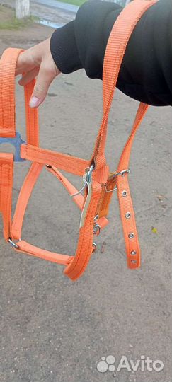 Амуниция для лошади