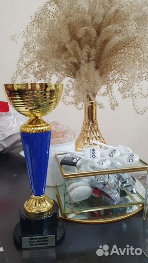 Обучение перманентному макияжу