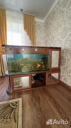 Аквариум с рыбками