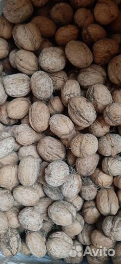 Орех грецкий