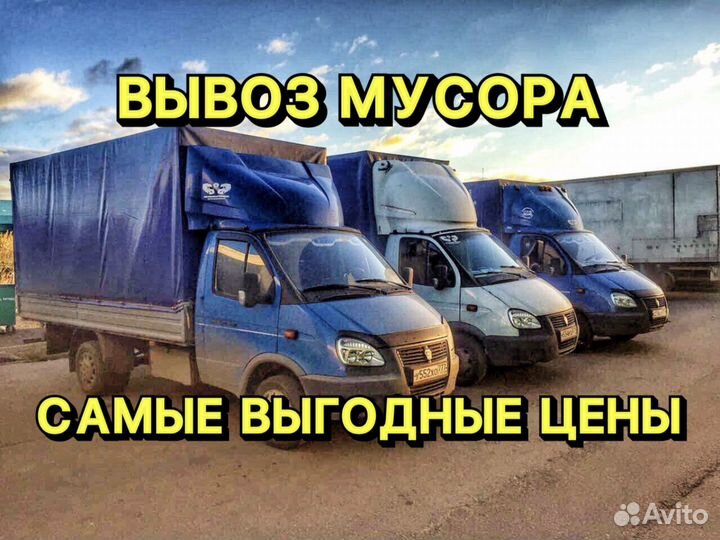 Вывоз мусора. Вывоз веток и хлама