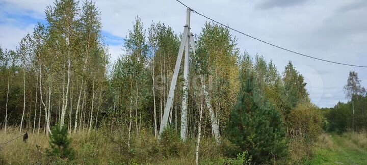 Участок 15,9 сот. (ИЖС)