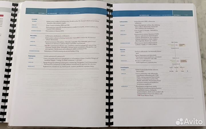 Usmle 2023 step 1, step 2