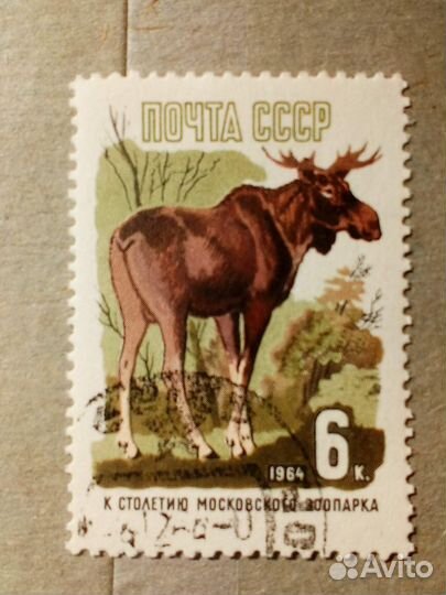 Марки СССР 1964 год. 100 лет зоопарку