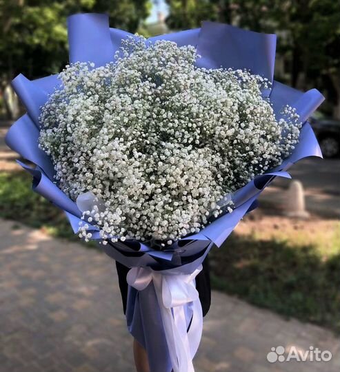 Букеты из Белой Гипсофилы. Доставка/Самовывоз