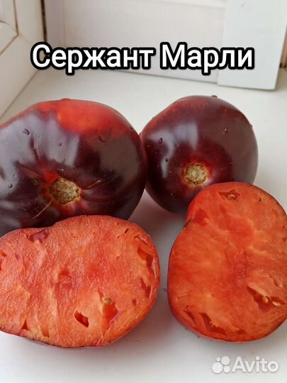 Семена Минусинских и других томатов и перцев