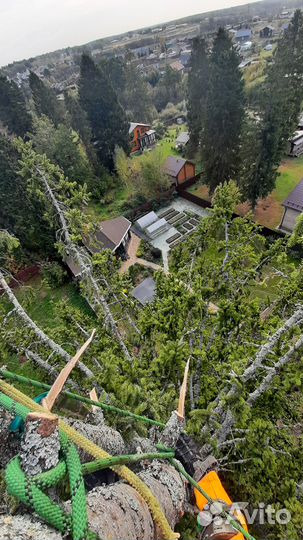 Спилить дерево, удаление веток, расчистка участка