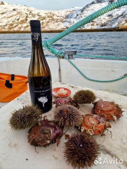 Гастро туры