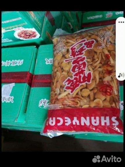 Грыбы опята маринованный