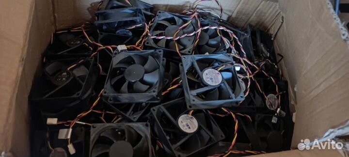 Новый кулер 80мм 12V 1.37W 3pin лот 100шт