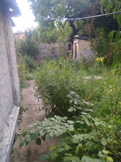 Дом 50 м² на участке 4 сот.