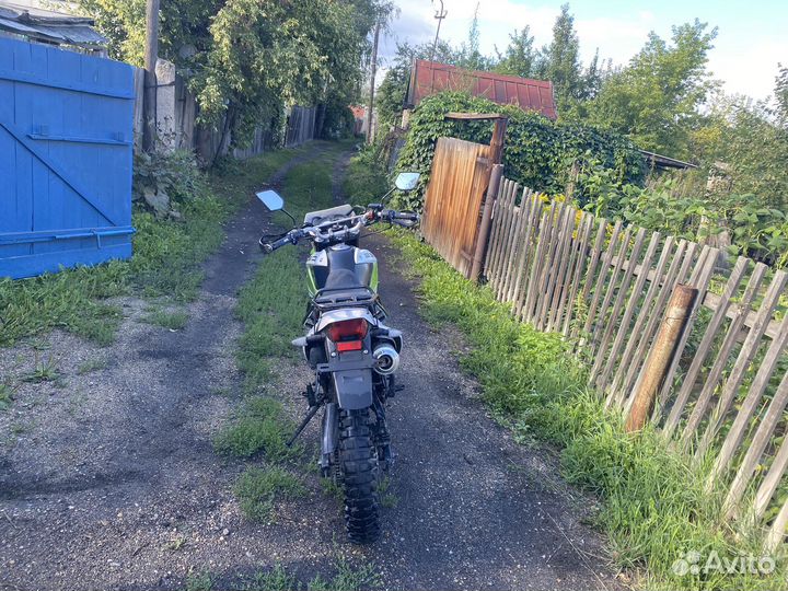 Рейсер пантера Обмен