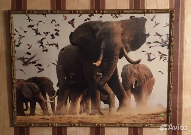 Постер с выставки Стива Блума 