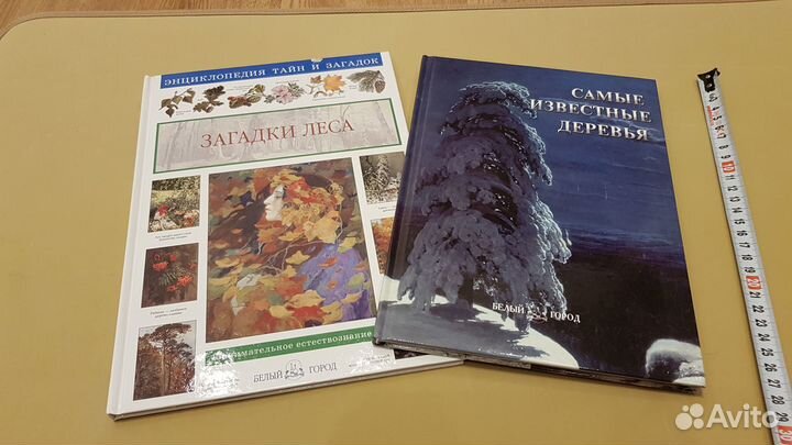 3 книги про лес и деревья - одним лотом