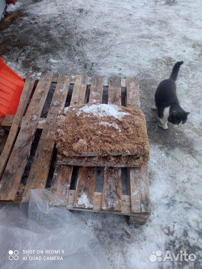 Фарш говяжий для собак