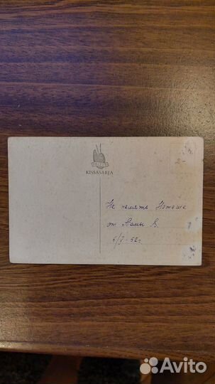 Открытка Кошка котик Арнольд Тилгман Финляндия