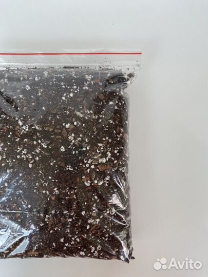 Грунт для калатеи. Грунт для маранты