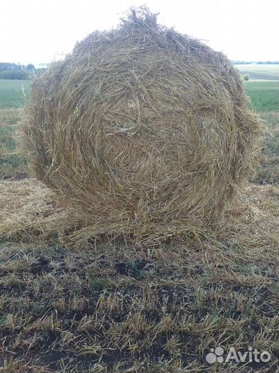 Солома в тюках