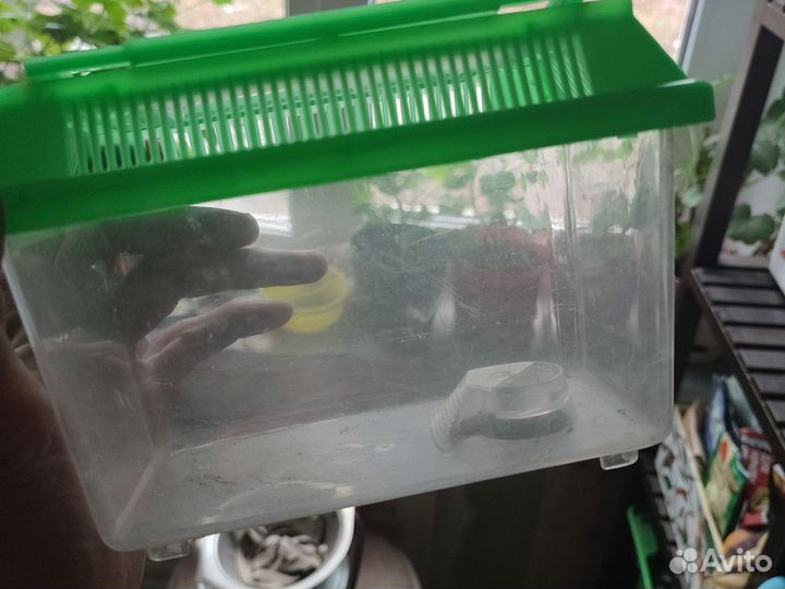 Переноска для черепах