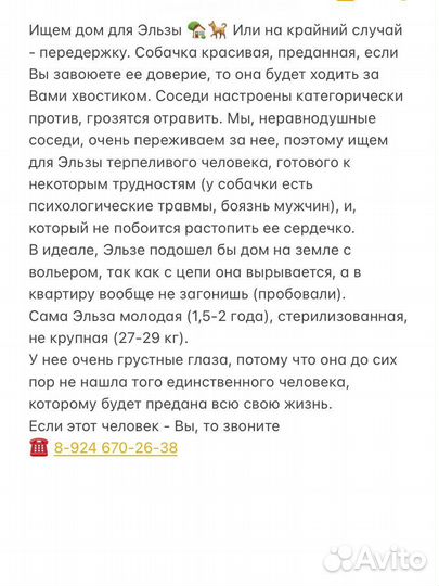 Собака в добрые руки