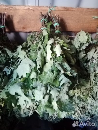 Дубовые веники