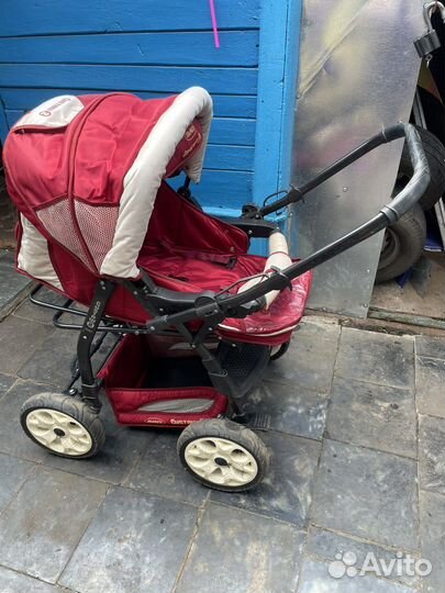 Коляска adamex