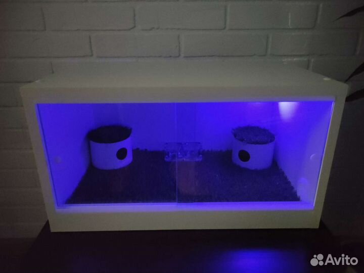 Террариум новый
