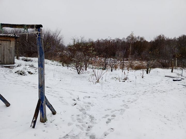 Дом 50,3 м² на участке 10 сот.