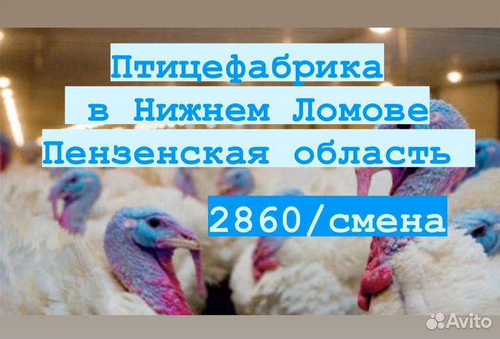 Вахта упаковщики оплачиваем проезд