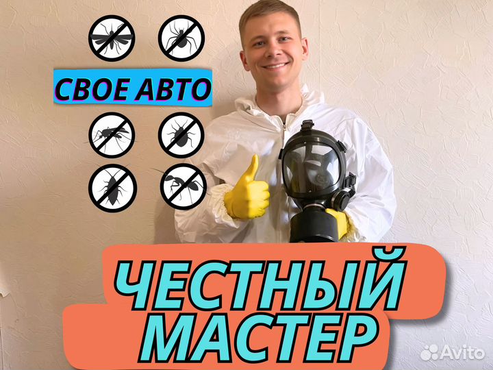 Дезинфекция. Уничтожение плесени, тараканов, блох