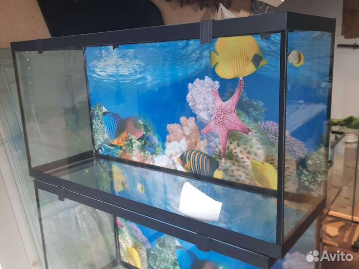 Аквариум