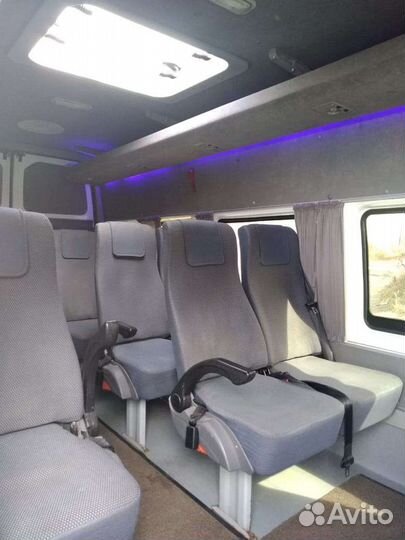 Пассажирские перевозки автобус