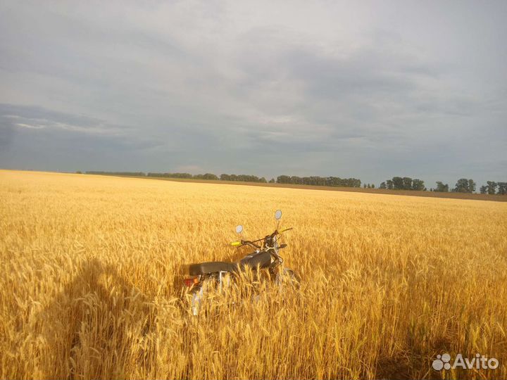 Продам Альфу