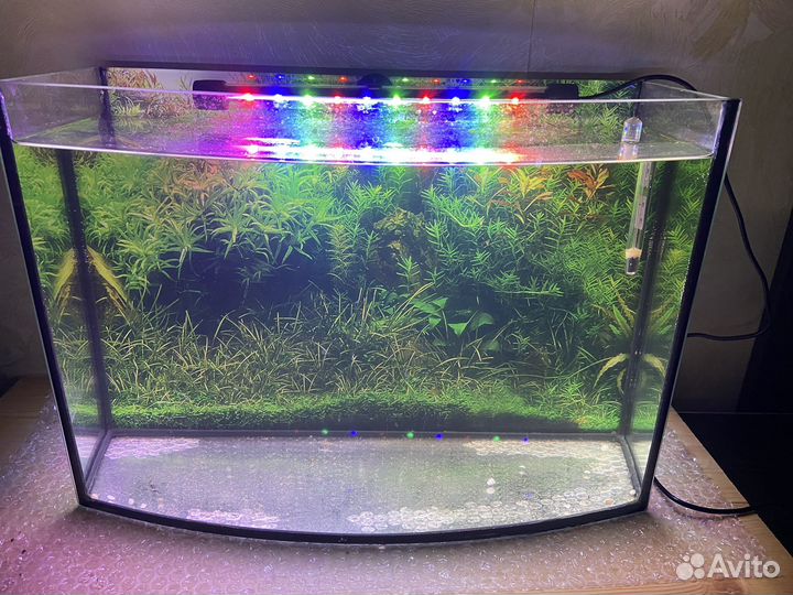 Аквариум на 20 литров