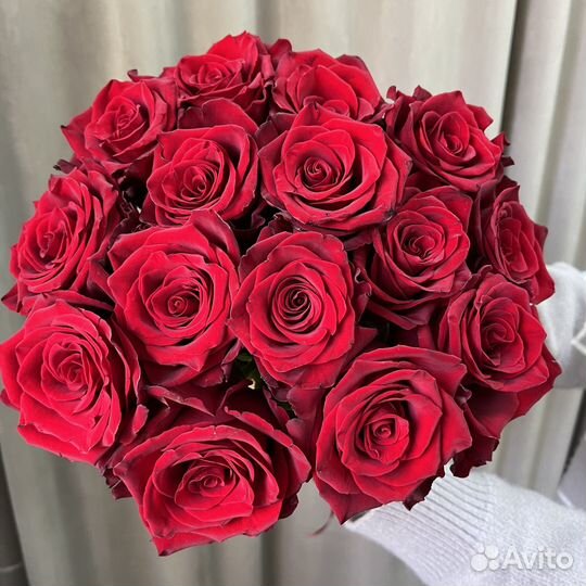 Роза красная Эквадор 60см