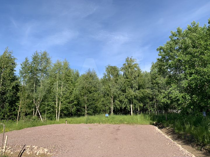 Участок 18,7 сот. (СНТ, ДНП)