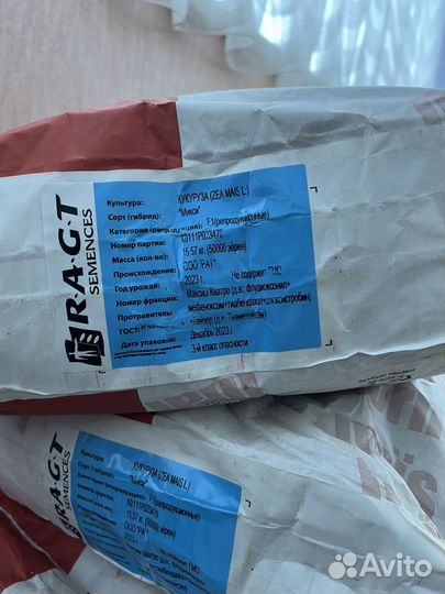 Кукуруза зерно