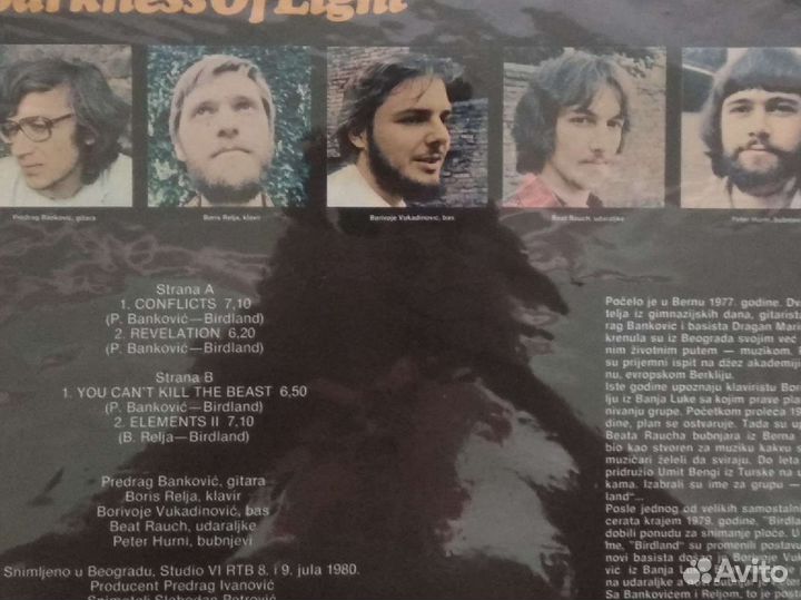 Пластинка BirdLand Darknezz Of Light