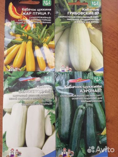 Рассада тыкв, кабачков, патиссон, баклажан