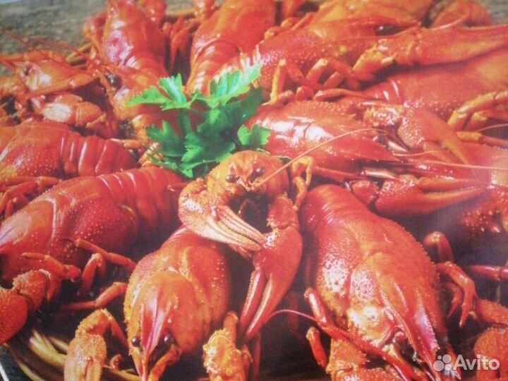 Живые раки с доставкой
