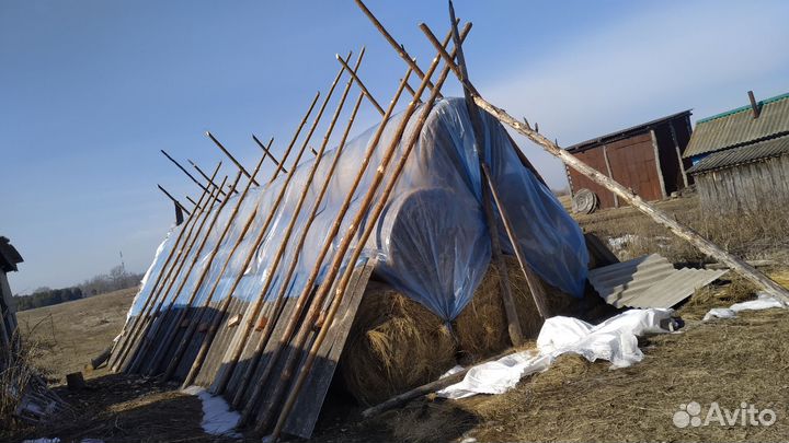 Продам сено в рулонах