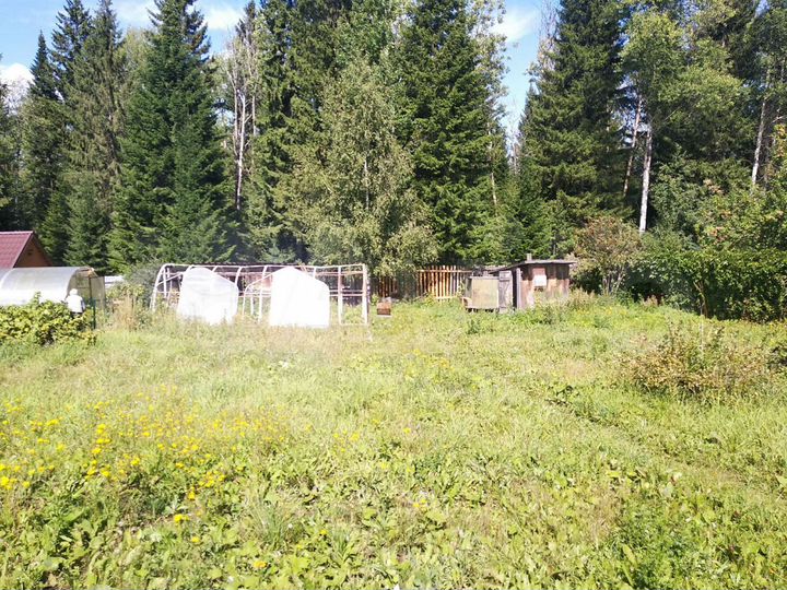 Дача 20 м² на участке 6 сот.