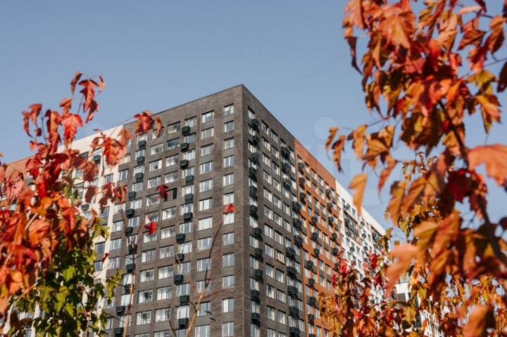 Квартира-студия, 24,2 м², 3/16 эт.