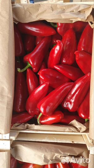 Овощи в асс. огурец, перец, баклажан, кабачок итд