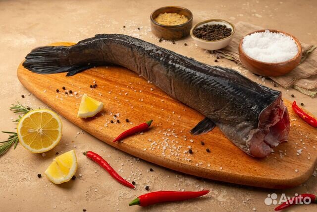 Мраморный сом