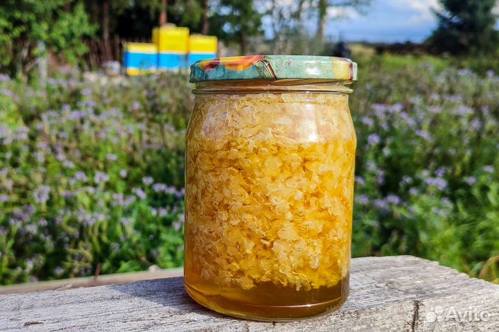 Свежий мёд 2023