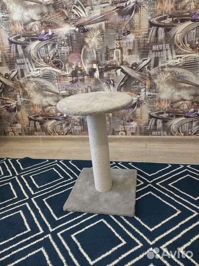 Когтеточка