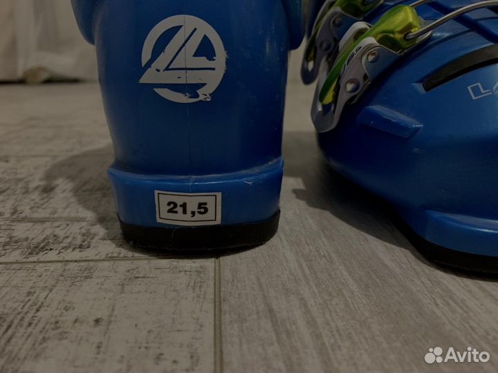 Горнолыжные ботинки