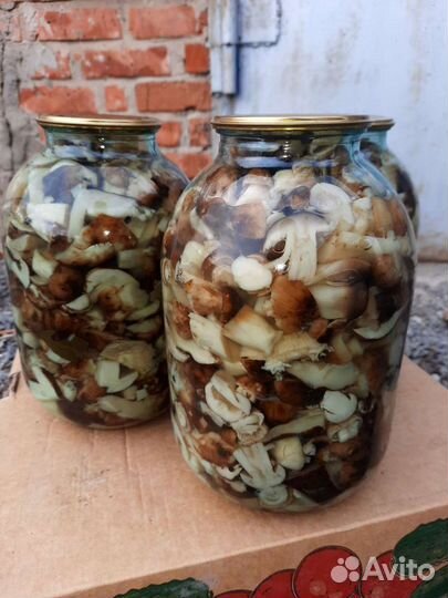 Грибы Валуи